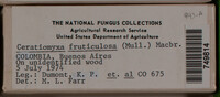 Image Associated With the Occurence